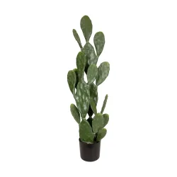 Decofinder Kunstpflanze Kaktus Grün H: 126 cm  | Schubiger Möbel