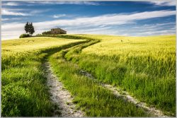image LAND Bild mit Rahmen Feldweg  | Schubiger Möbel