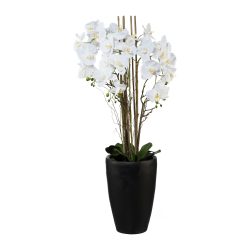 Gasper Orchideenpflanze weiss Vase Dunkelbraun  | Schubiger Möbel
