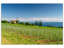 image LAND Bild mit Rahmen Landschaft in Der Toskana  | Schubiger Möbel