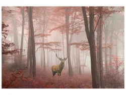 image LAND Alubild Hirsch im Herbstwald  | Schubiger Möbel