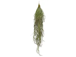 Edg Kunstpflanze Kaktus H: 84 cm  | Schubiger Möbel