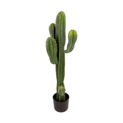 Decofinder Kunstpflanze Kaktus Grün H: 86 cm  | Schubiger Möbel