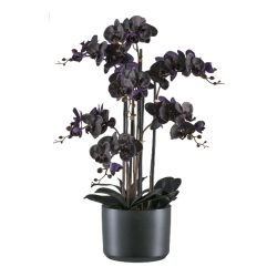 Gasper Kunstpflanzen Phalaenopsis im Keramiktopf, Schwarz  | Schubiger Möbel