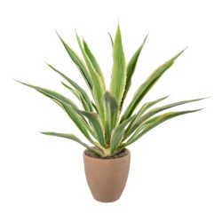 Gasper Kunstpflanze Agave im Terracottatopf, Grüncreme H: 85 cm  | Schubiger Möbel