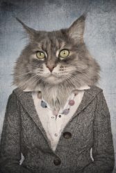 image LAND Alubild Katzenfrau  | Schubiger Möbel