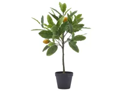 Edg Kunstpflanze Zitronenbaum H: 56 cm  | Schubiger Möbel