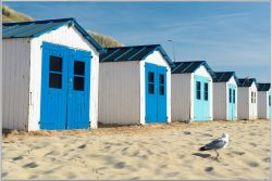 image LAND Bild mit Rahmen Strandhäuser 4  | Schubiger Möbel
