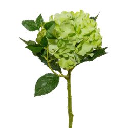 Gasper Kunstblume Hortensie, Grün  | Schubiger Möbel