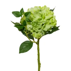 Gasper Kunstblume Hortensie, Grün  | Schubiger Möbel