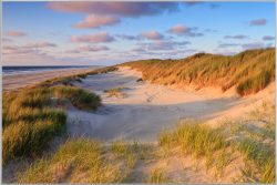 image LAND Bild mit Rahmen Dünen am Meer 2  | Schubiger Möbel
