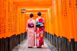 image LAND Alubild 2 Japanerinnen  | Schubiger Möbel