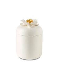 Abhika Dose Peony Weiss H: 16 cm  | Schubiger Möbel