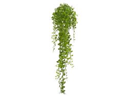 Edg Kunstblumen Hängekaktus H: 90 cm  | Schubiger Möbel