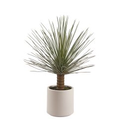Edg Kunstpflanze Yucca H: 99 cm  | Schubiger Möbel