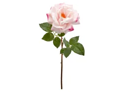 Edg Kunstblumen Rose Rosa H: 56 cm  | Schubiger Möbel