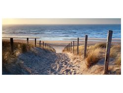 image LAND Digitaldruck auf Glas Sandweg Zum Meer 2  | Schubiger Möbel