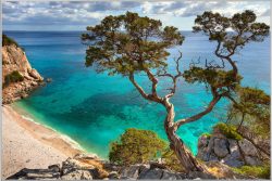 image LAND Bild mit Rahmen Steilküste mit Baum  | Schubiger Möbel
