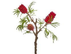 Edg Protea Banksia Purple H: 84 cm  | Schubiger Möbel