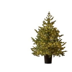 Edg Kunstpflanzen Tannenbaum 480LED Grün H: 120 cm  | Schubiger Möbel