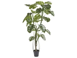 Edg Kunstpflanze Monstera H: 210 cm  | Schubiger Möbel