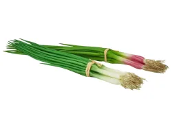 Edg Kunstblumen Frühlingszwiebel Fein H: 30 cm  | Schubiger Möbel