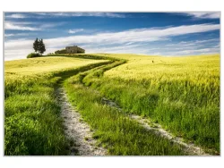 image LAND Bild mit Rahmen Feldweg  | Schubiger Möbel