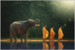 image LAND Bild mit Rahmen Mönchwanderung mit Elefant  | Schubiger Möbel