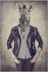 image LAND Bild mit Rahmen Zebra Gentleman  | Schubiger Möbel