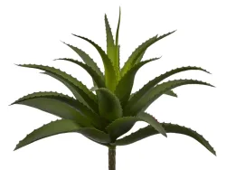 Edg Kunstblume Agave Dunkelgrün H: 25 cm  | Schubiger Möbel