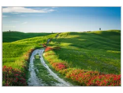 image LAND Bild mit Rahmen Wegesrand mit Mohn  | Schubiger Möbel