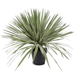 Edg Kunstpflanze Agave im Topf H: 80 cm  | Schubiger Möbel