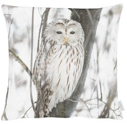 Apelt Kissenhülle Schneeeule 45x45 cm  | Schubiger Möbel