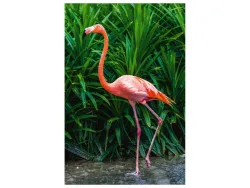 image LAND Alubild Eleganter Flamingo  | Schubiger Möbel