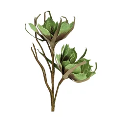Decofinder Kunstblumen Magnolie Jute, Grün  | Schubiger Möbel