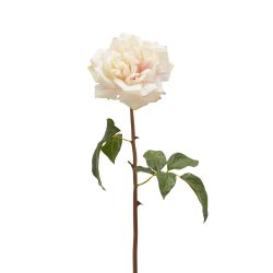 Edg Kunstblume Rose Cremè H: 50 cm  | Schubiger Möbel