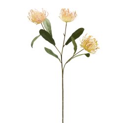 Edg Kunstblume Protea Grün H: 75 cm  | Schubiger Möbel