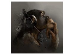 image LAND Digitaldruck auf Glas Zauber Der Musik  | Schubiger Möbel