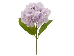 Edg Kunstblumen Hortensie Lila H: 50 cm  | Schubiger Möbel