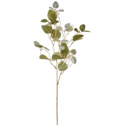 Gasper Kunstblumen Eukalyptuszweig, Grün  | Schubiger Möbel