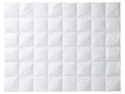 Billerbeck Ganzjahresduvet Climacontrol® Light Weiss | Schubiger Möbel