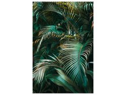 image LAND Bild Grüne Pflanzen  | Schubiger Möbel