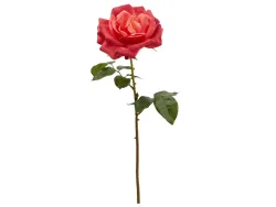 Edg Kunstblumen Rose Dunkelrot H: 56 cm  | Schubiger Möbel