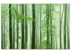 image LAND Bild mit Rahmen Waldstimmung  | Schubiger Möbel
