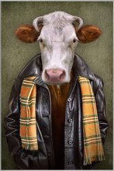 image LAND Bild mit Rahmen Rind mit Lederjacke  | Schubiger Möbel