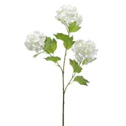 Edg Kunstblume Schneeball Weiss H: 70 cm  | Schubiger Möbel