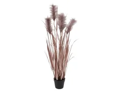 Edg Kunstpflanzen Pampasgrass Lilia H: 115 cm  | Schubiger Möbel