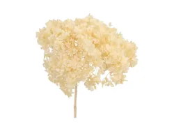 Decofinder Kunstblumen Bund Hortensien, Creme, H:60 cm Beige | Schubiger Möbel