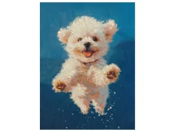 image LAND Bild Jumping Fluffy  | Schubiger Möbel