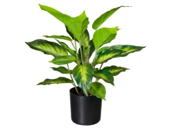 Gasper Kunstpflanzen Giftaron H: 45 cm  | Schubiger Möbel